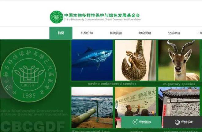 料被扒父亲背景不一般绿发会受牵连开元棋牌哈佛蒋雨融事升级！更多黑(图3)
