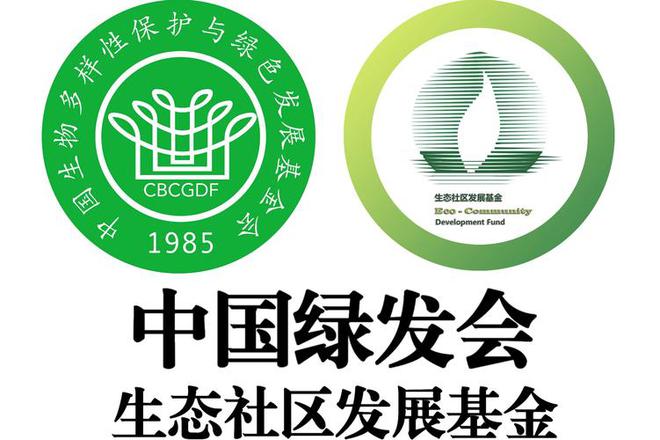 料被扒父亲背景不一般绿发会受牵连开元棋牌哈佛蒋雨融事升级！更多黑(图21)